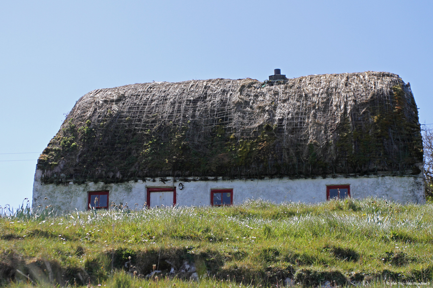 20120508_arancowragh2