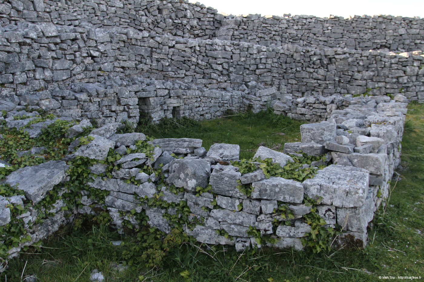 20120508_araneoghanachtain01