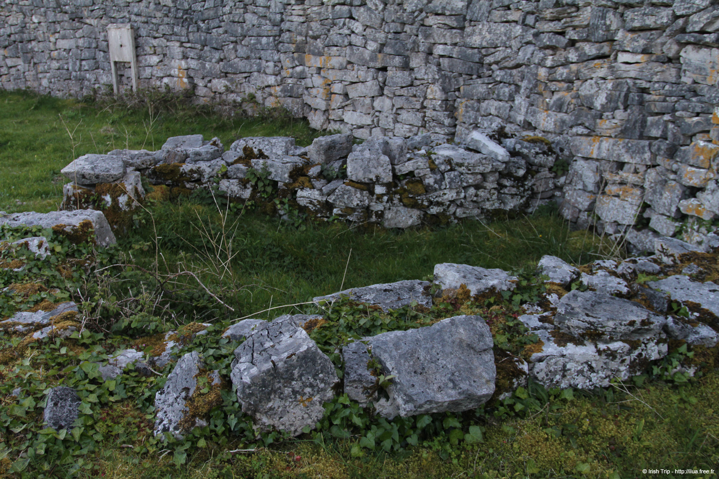 20120508_araneoghanachtain02
