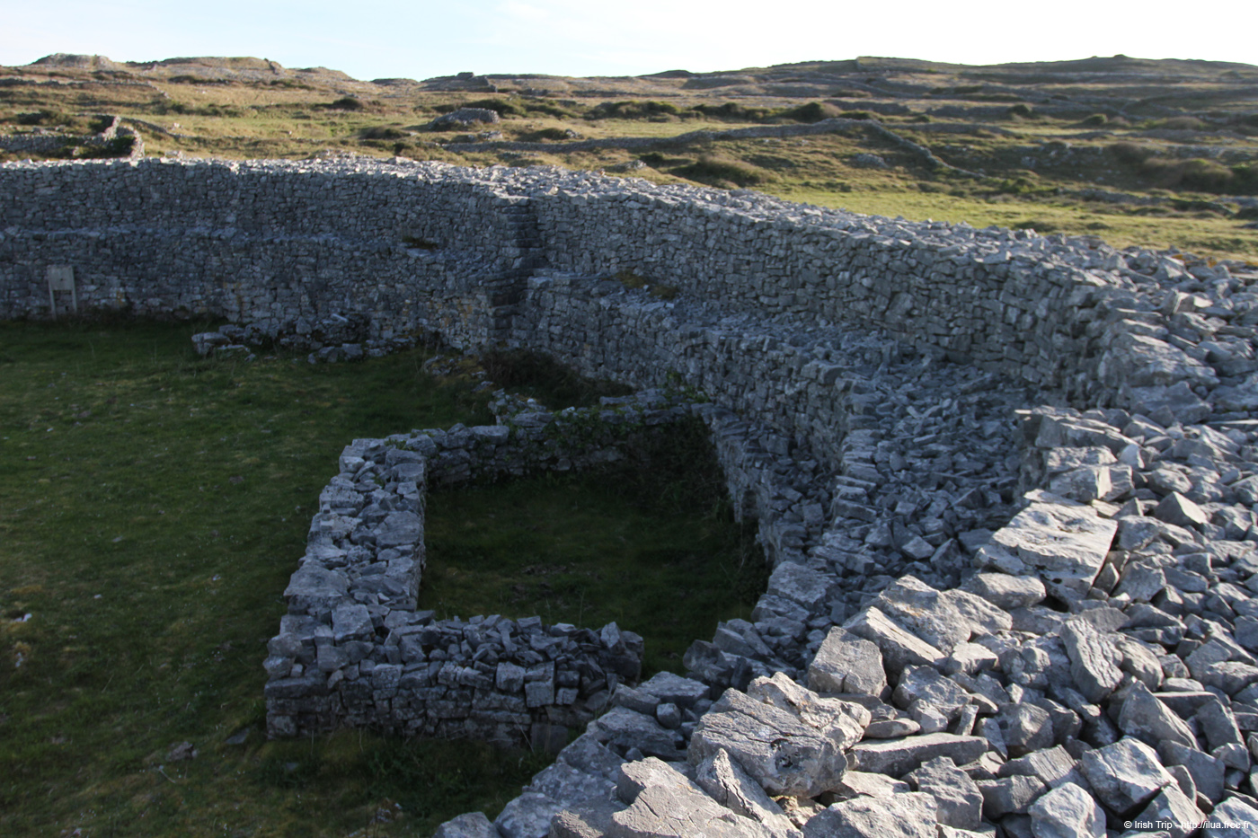 20120508_araneoghanachtain03