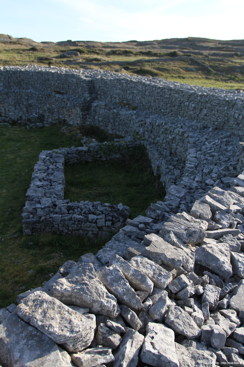 20120508_araneoghanachtain04