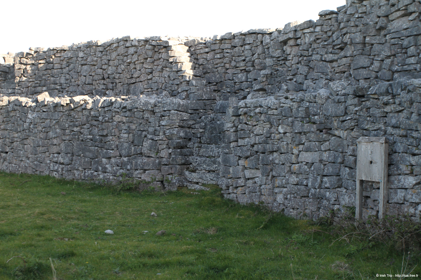 20120508_araneoghanachtain05
