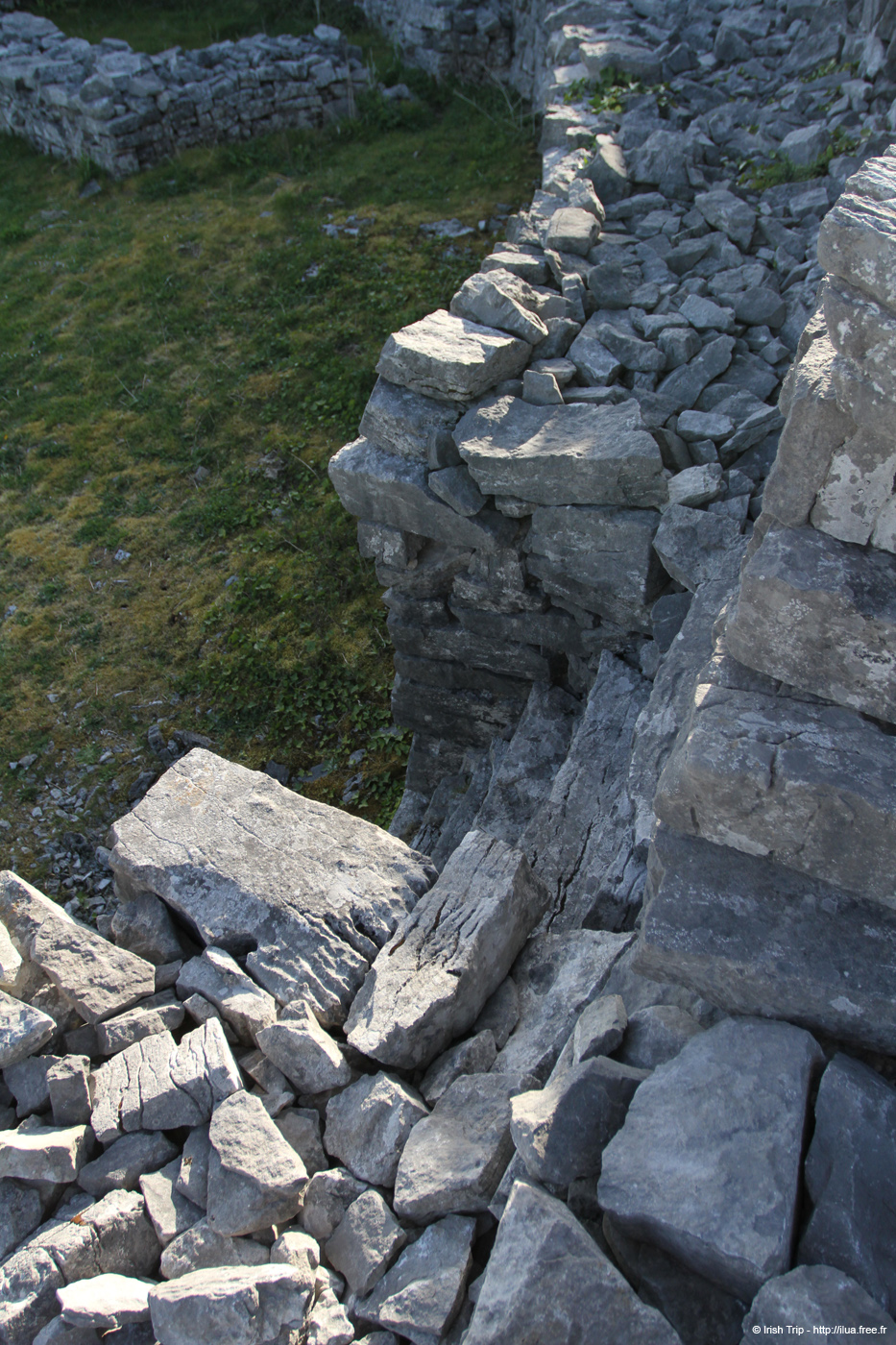20120508_araneoghanachtain06