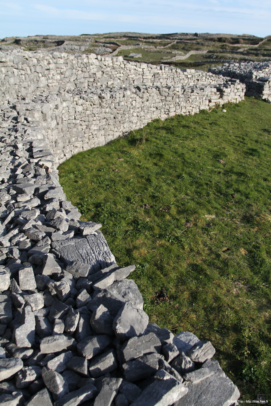 20120508_araneoghanachtain08