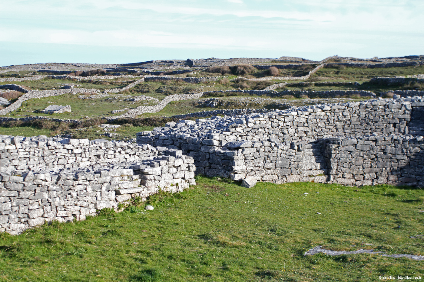 20120508_araneoghanachtain12