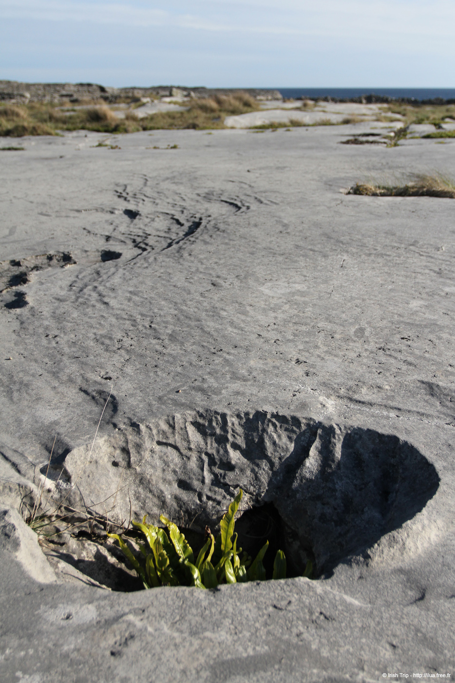 20120508_arankilmurvyisthmusland32