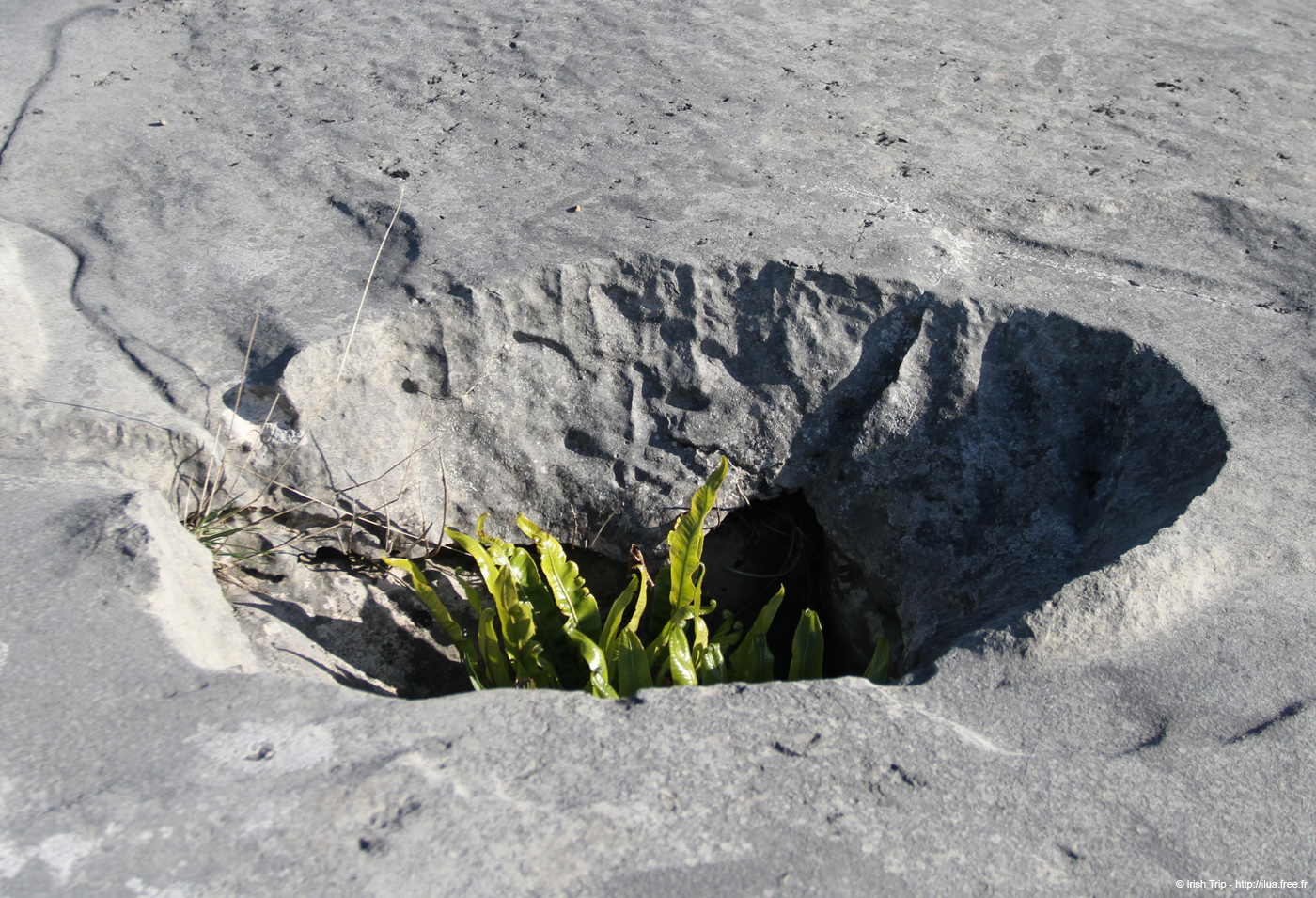 20120508_arankilmurvyisthmusland33