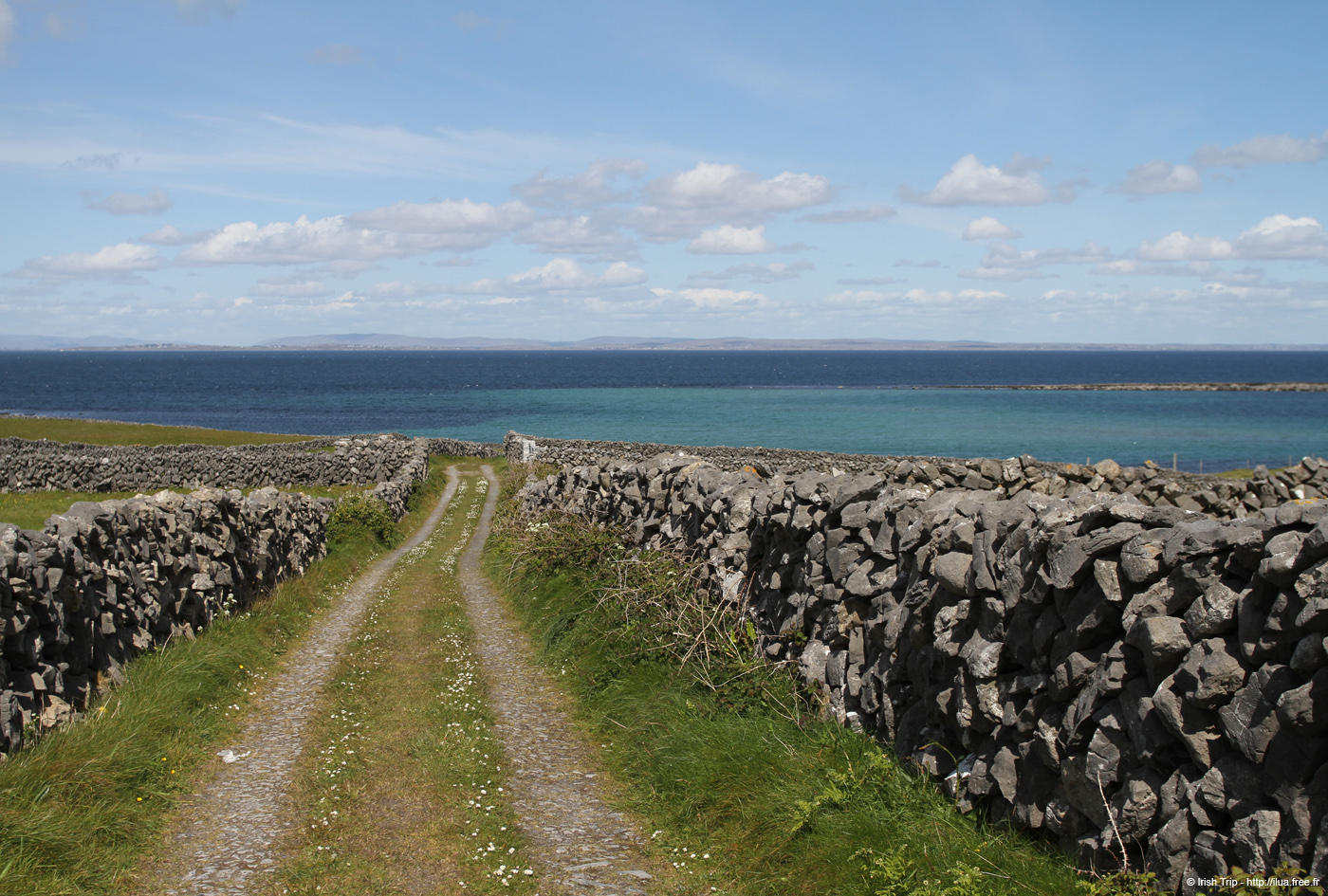 20120508_aranmooltiaroad4