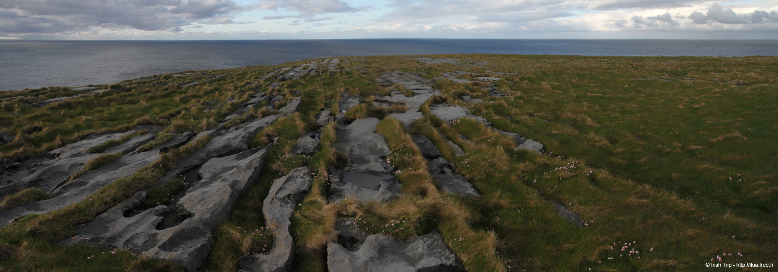 20120508_arannalheahead01