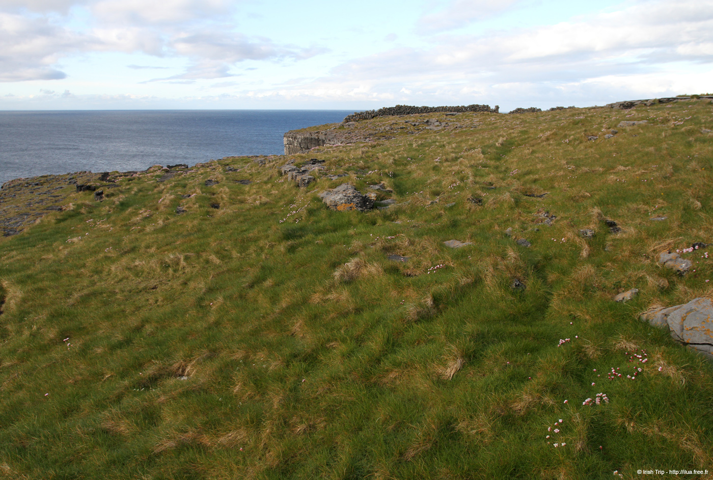 20120508_arannalheahead02