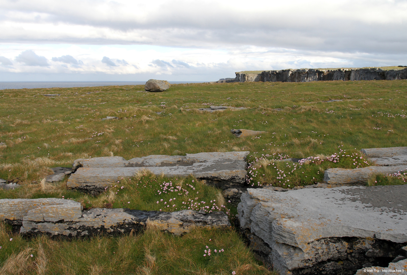 20120508_arannalheahead04