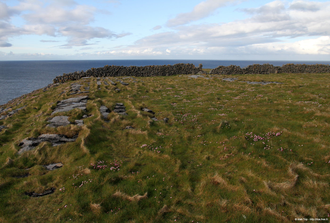 20120508_arannalheahead05