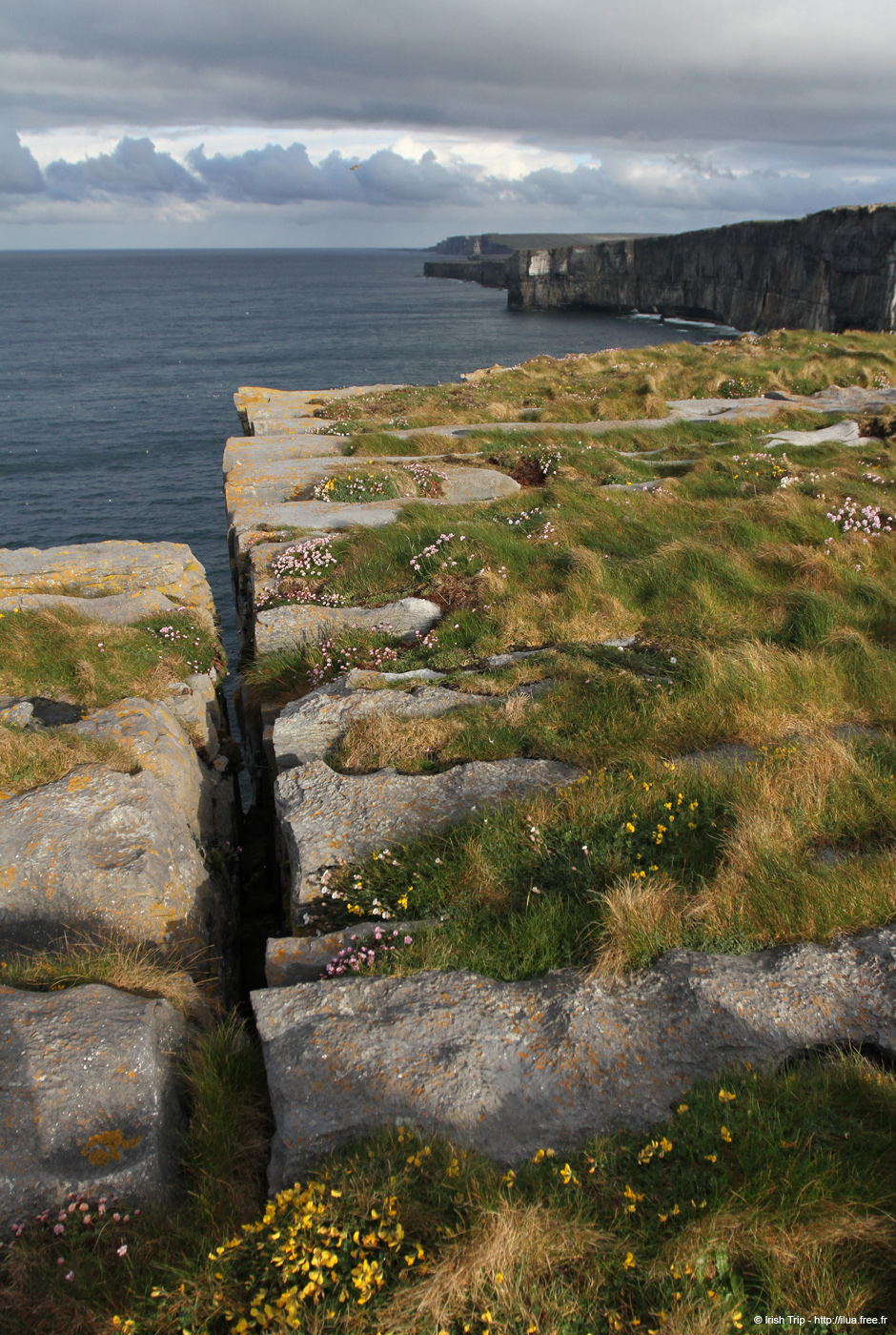 20120508_arannalheaheadcliffedge00