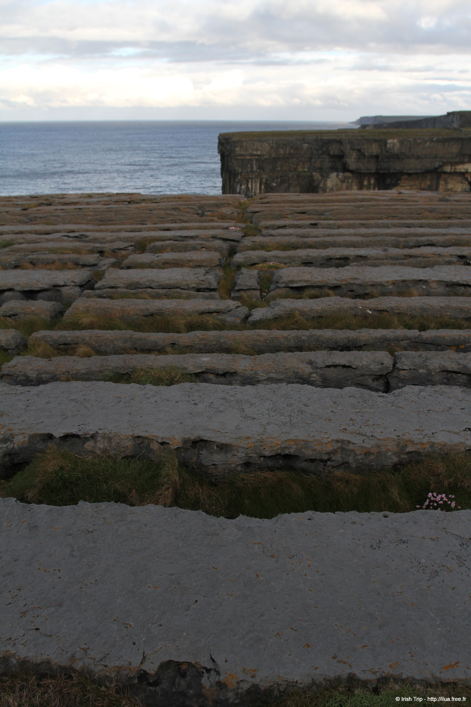 20120508_arannalheaheadcliffedge02