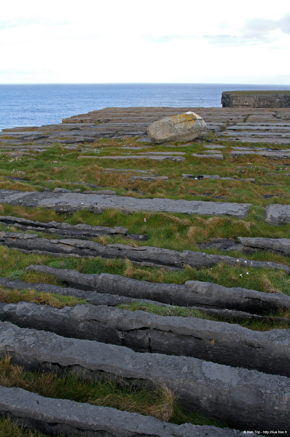 20120508_arannalheaheadcliffedge03