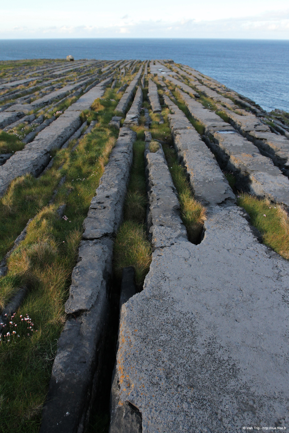 20120508_arannalheaheadcliffedge04