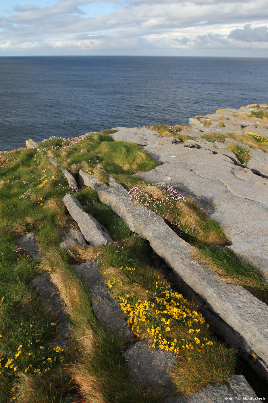 20120508_arannalheaheadcliffedge05