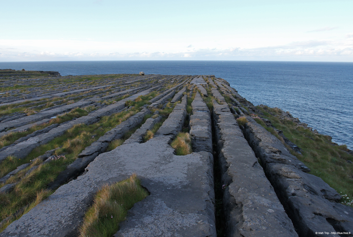 20120508_arannalheaheadcliffedge06