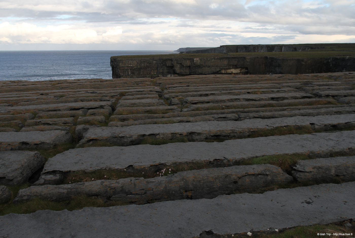 20120508_arannalheaheadcliffedge09