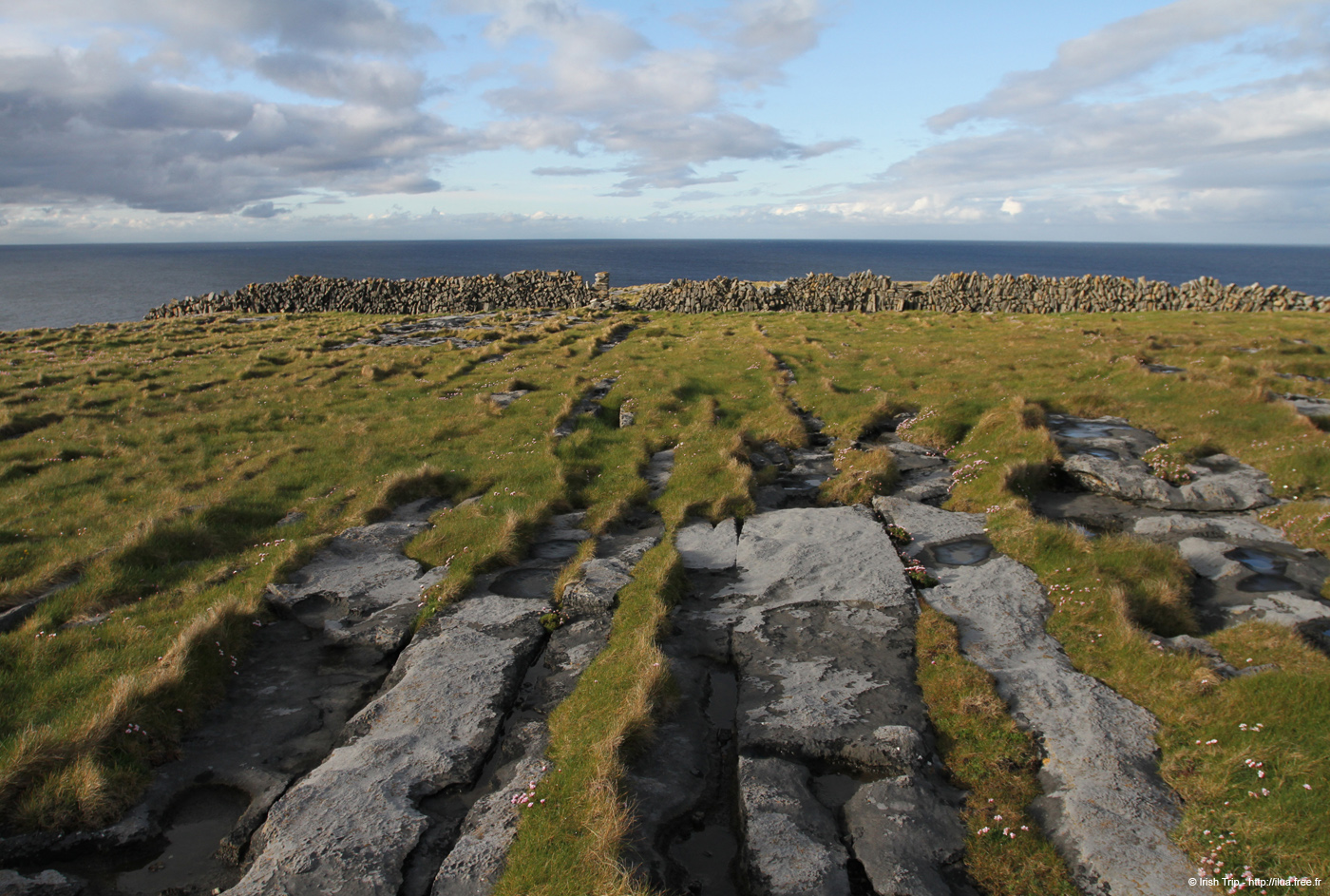 20120508_arannalheaheadcliffedge10