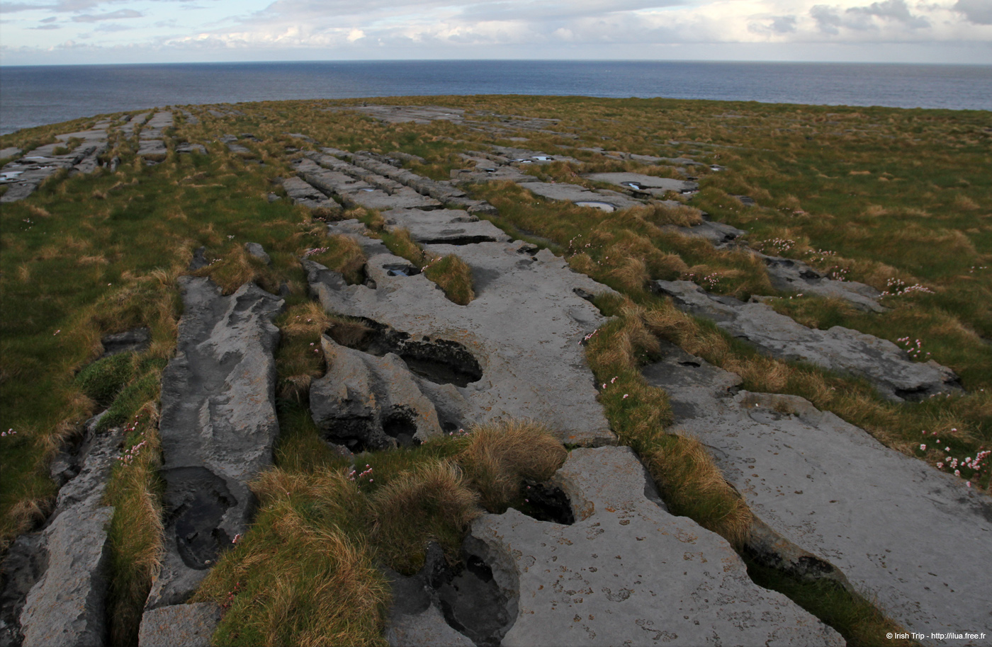 20120508_arannalheaheadcliffedge11