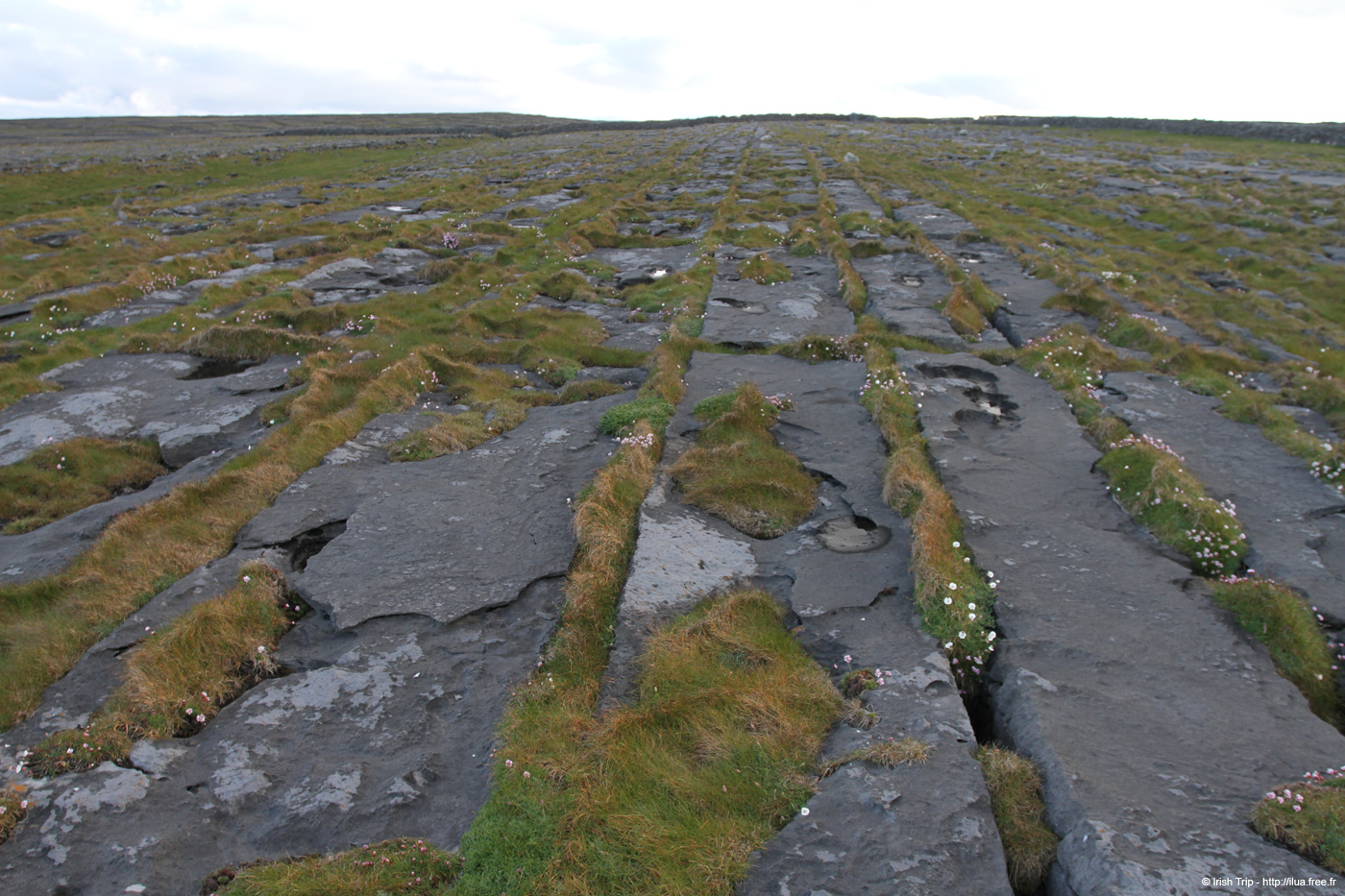 20120508_arannalheaheadcliffedge13