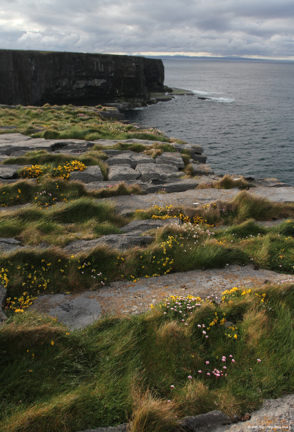 20120508_arannalheaheadeastcoast1