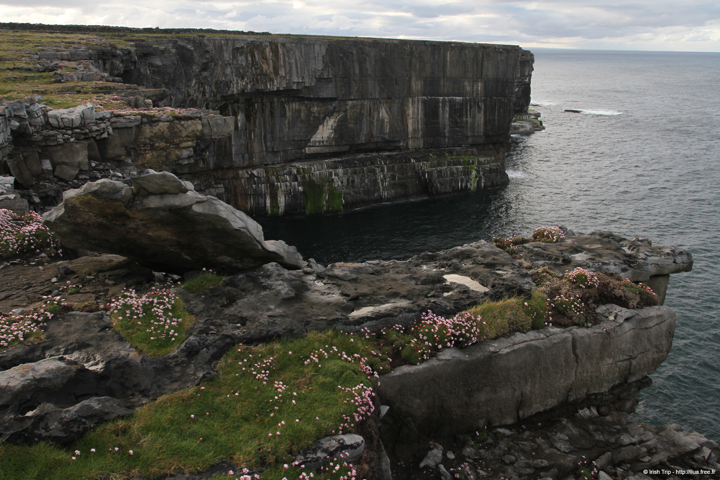 20120508_arannalheaheadeastcoast4