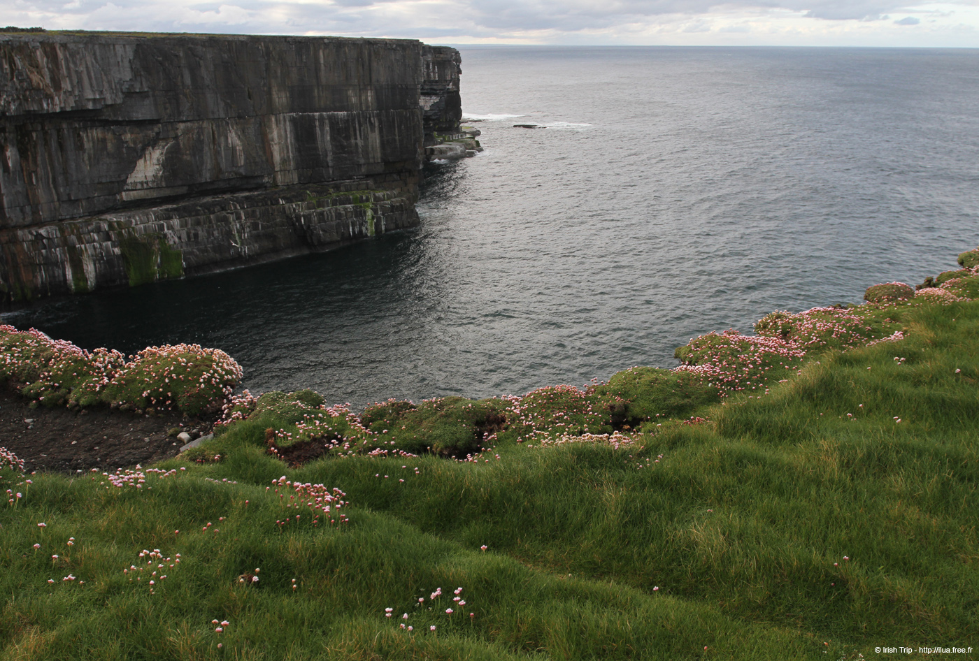 20120508_arannalheaheadeastcoast5