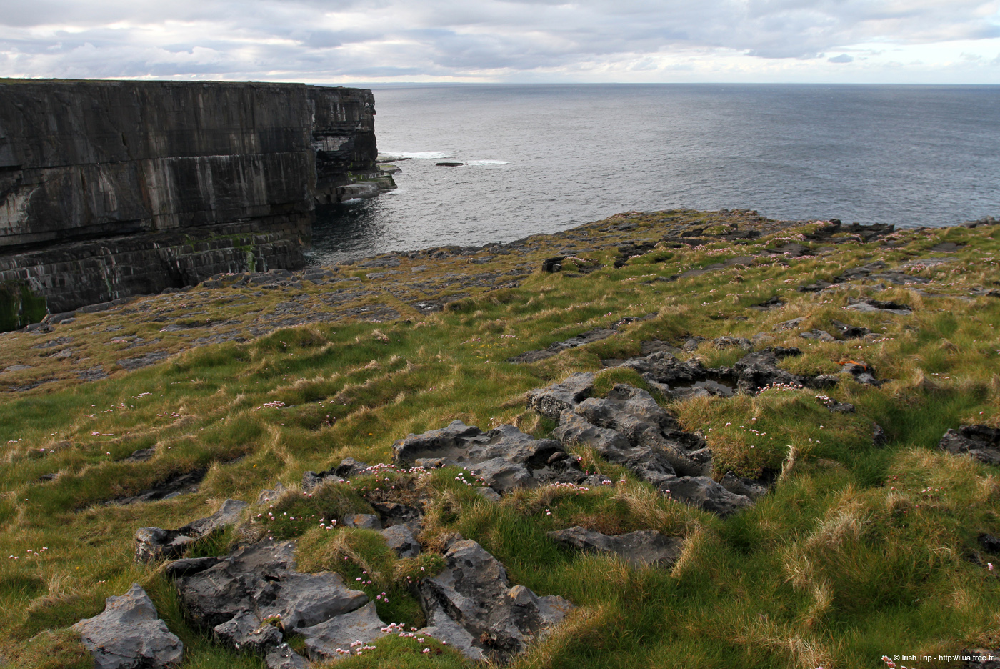 20120508_arannalheaheadeastcoast6