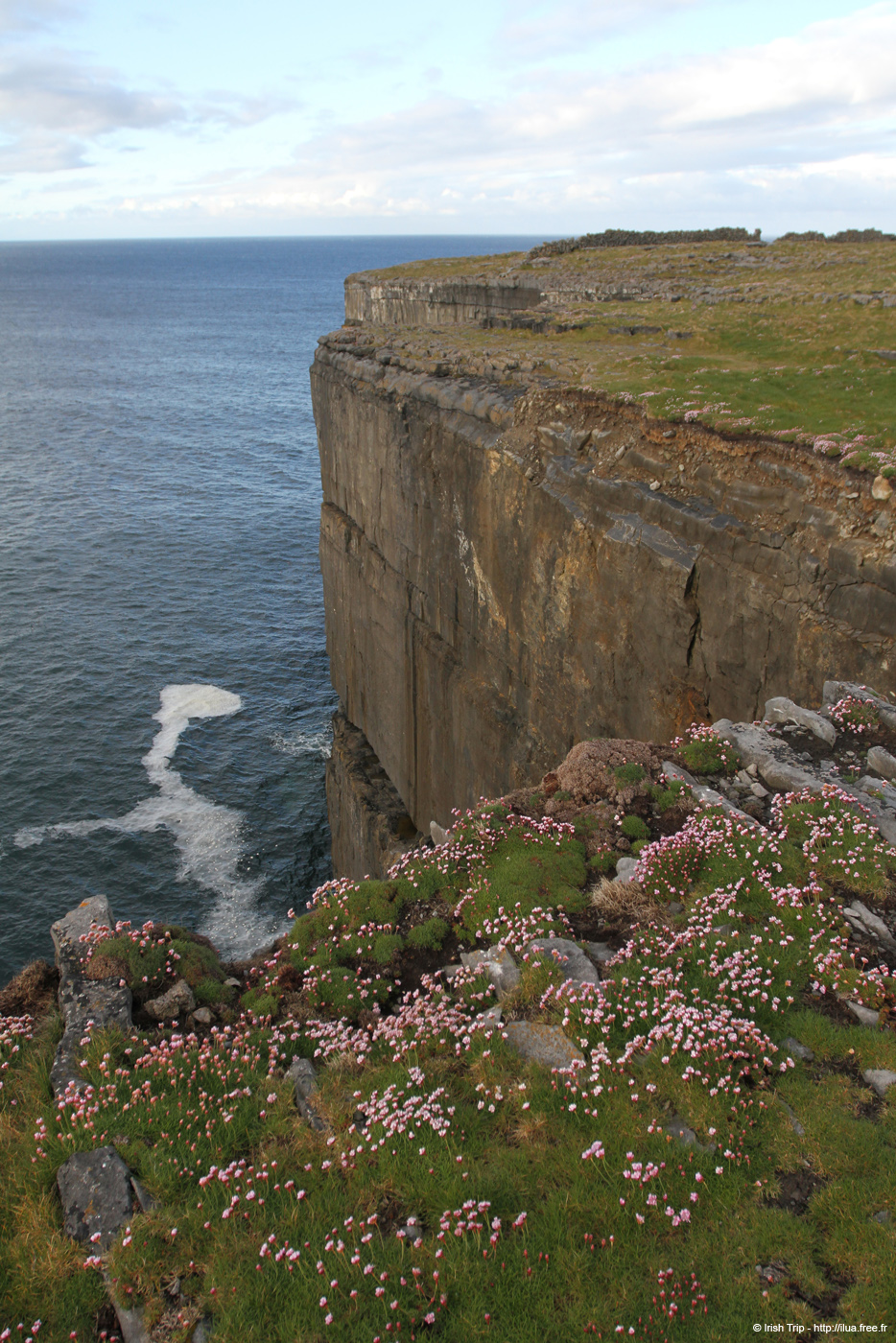 20120508_arannalheaheadfromne4