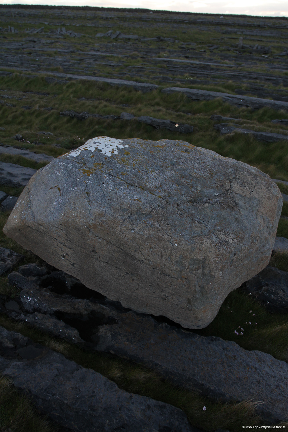 20120508_arannalheaheadgranitrock06