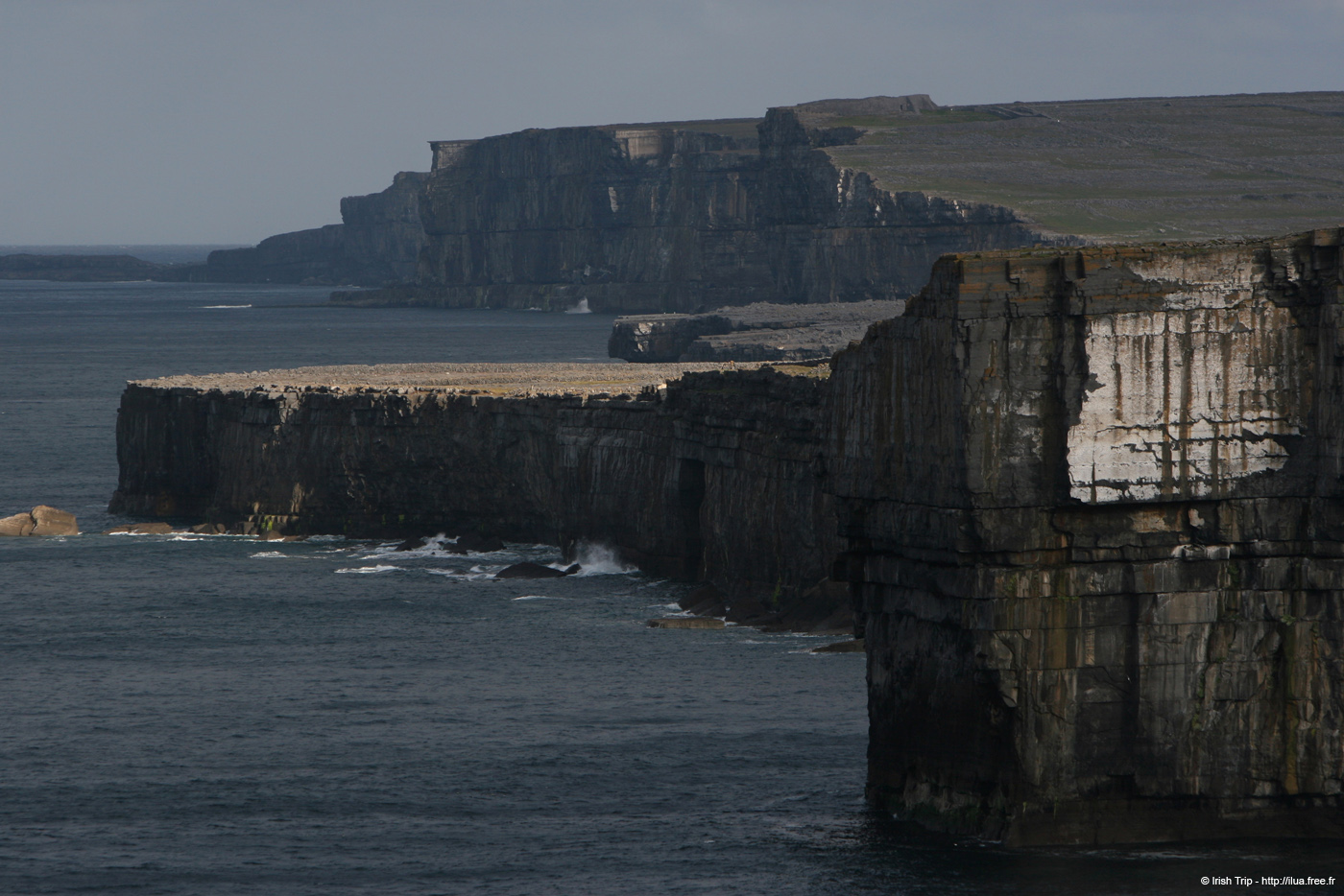 20120508_arannalheaheadwestcoast12