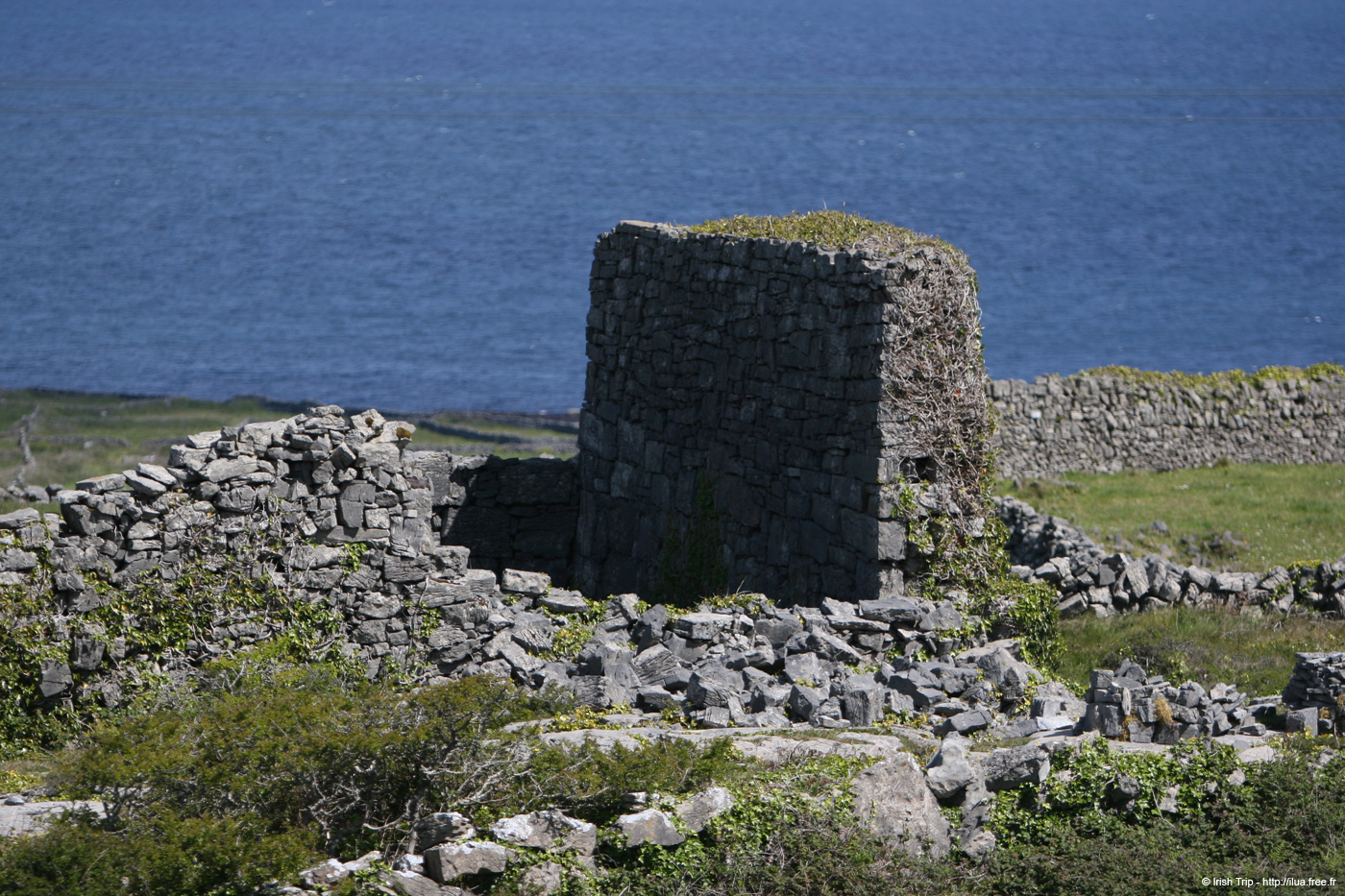 20120508_aranoatquarter5
