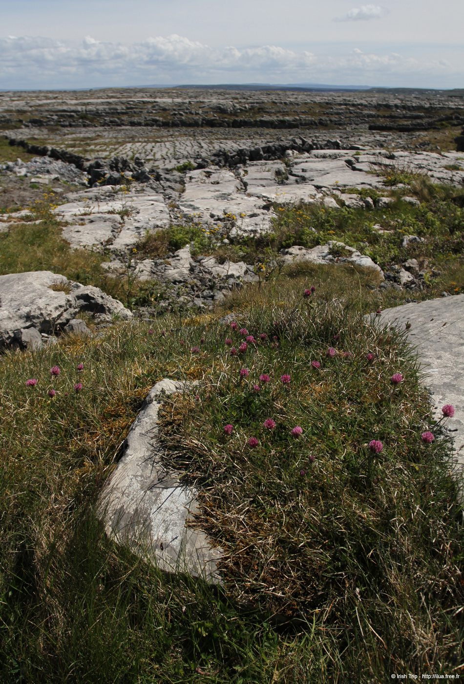 20120508_aranoghill01