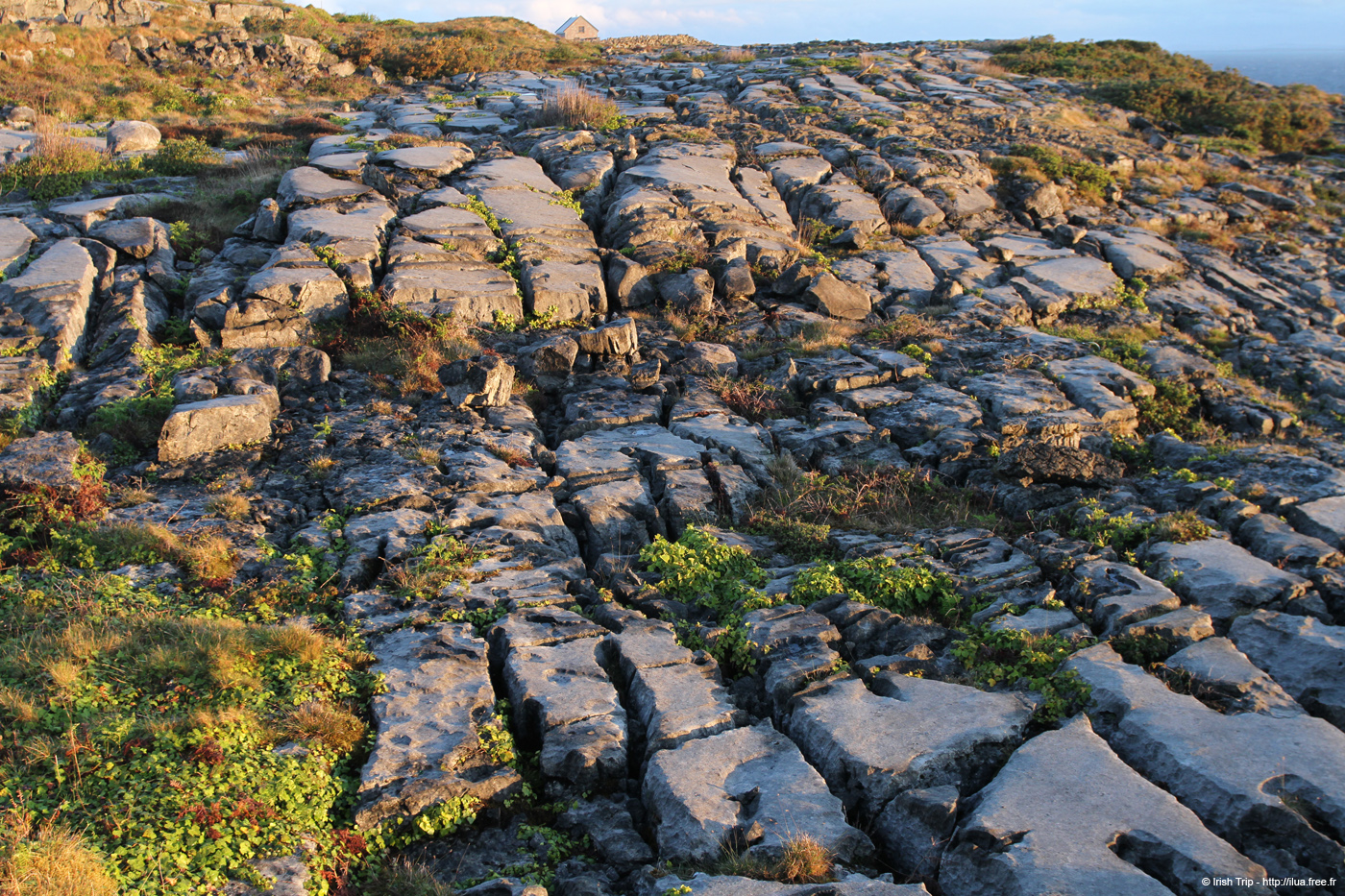 20120508_aranoghill02
