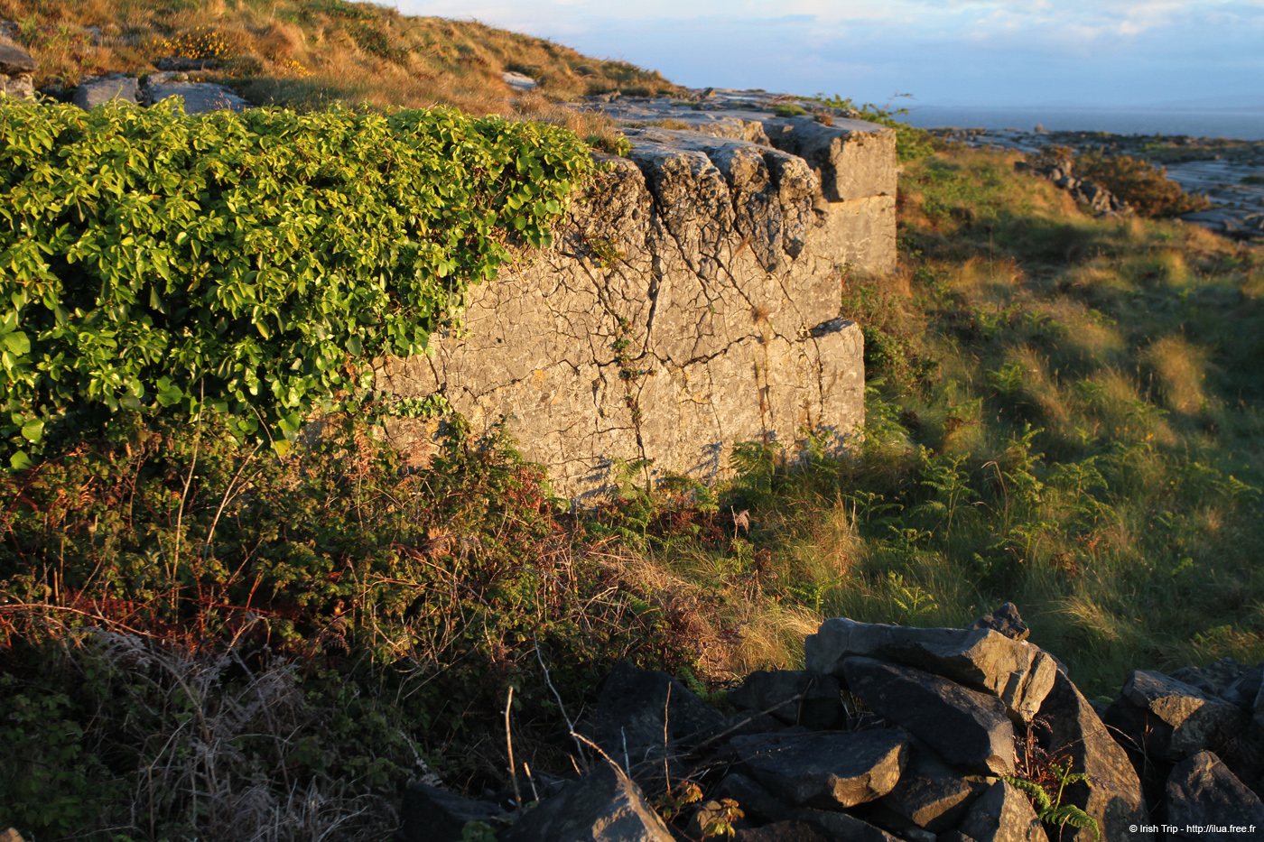 20120508_aranoghill03
