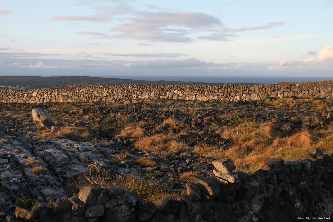 20120508_aranoghill04