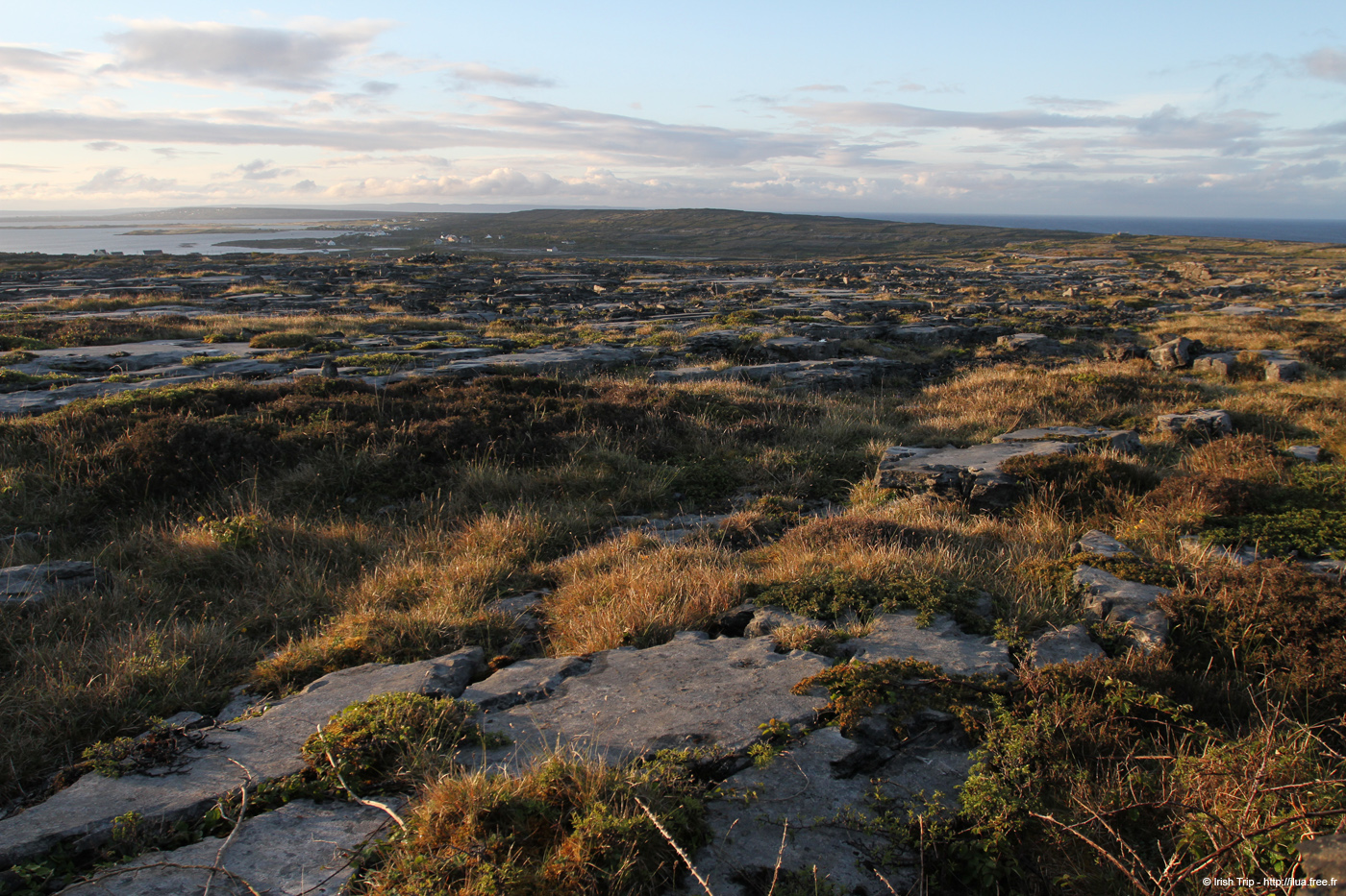 20120508_aranoghill05