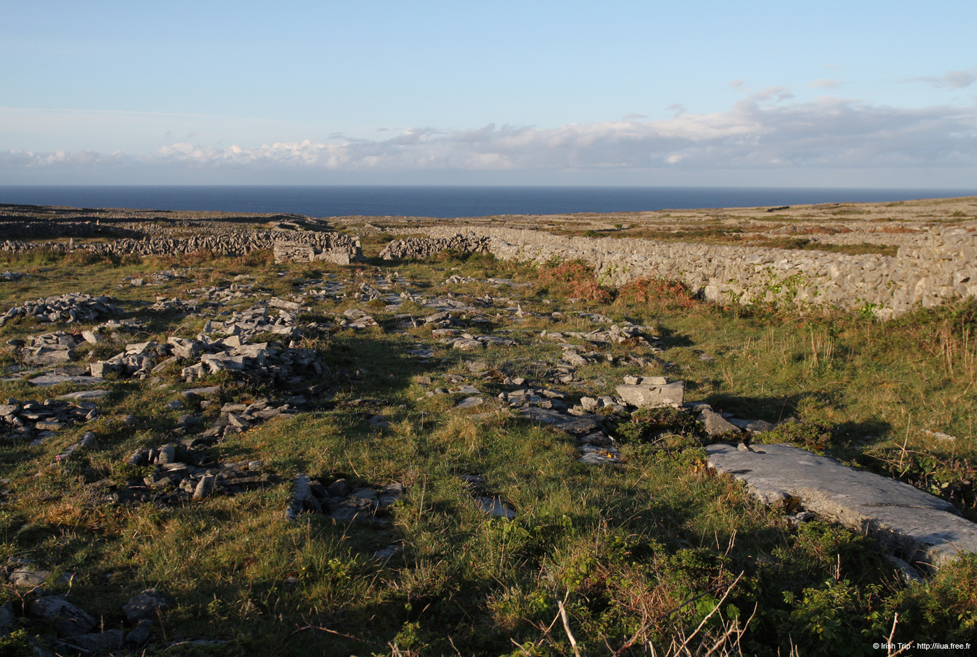 20120508_aranoghill06