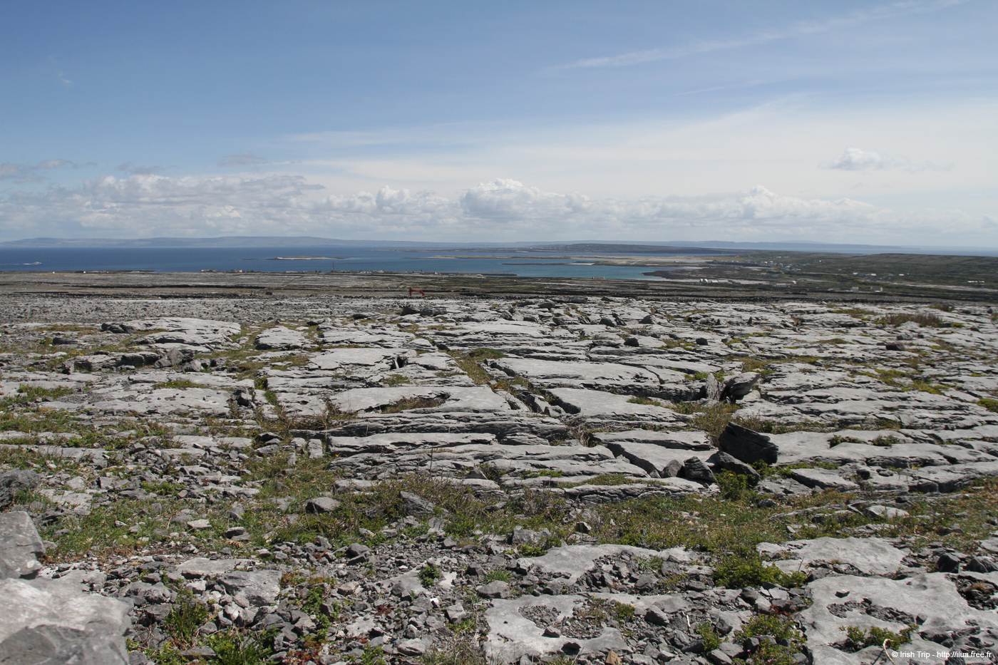 20120508_aranoghill13