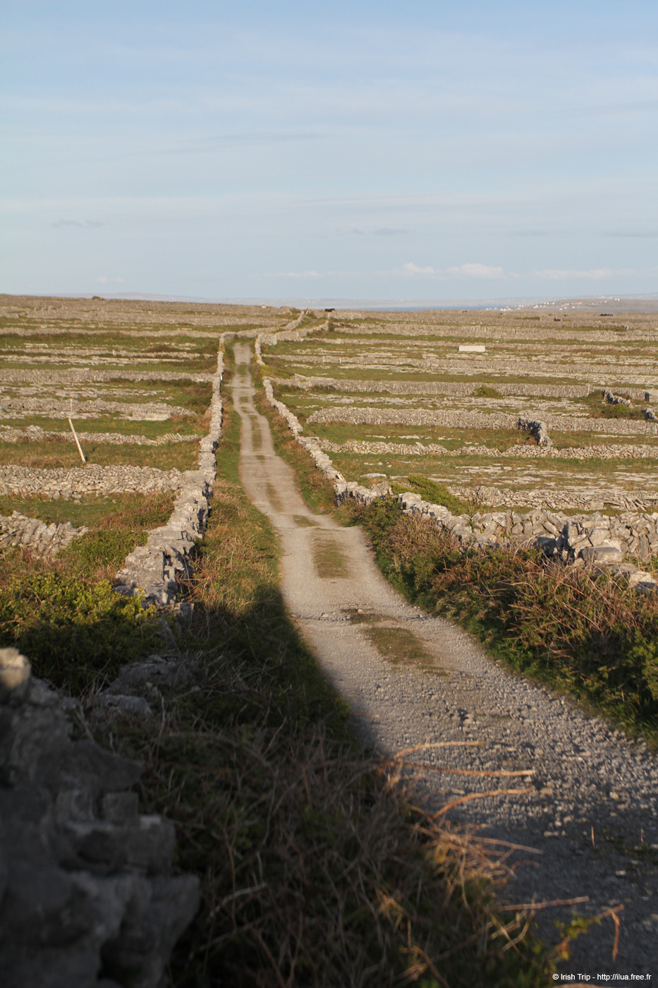 20120508_aranoghillcentralpath05