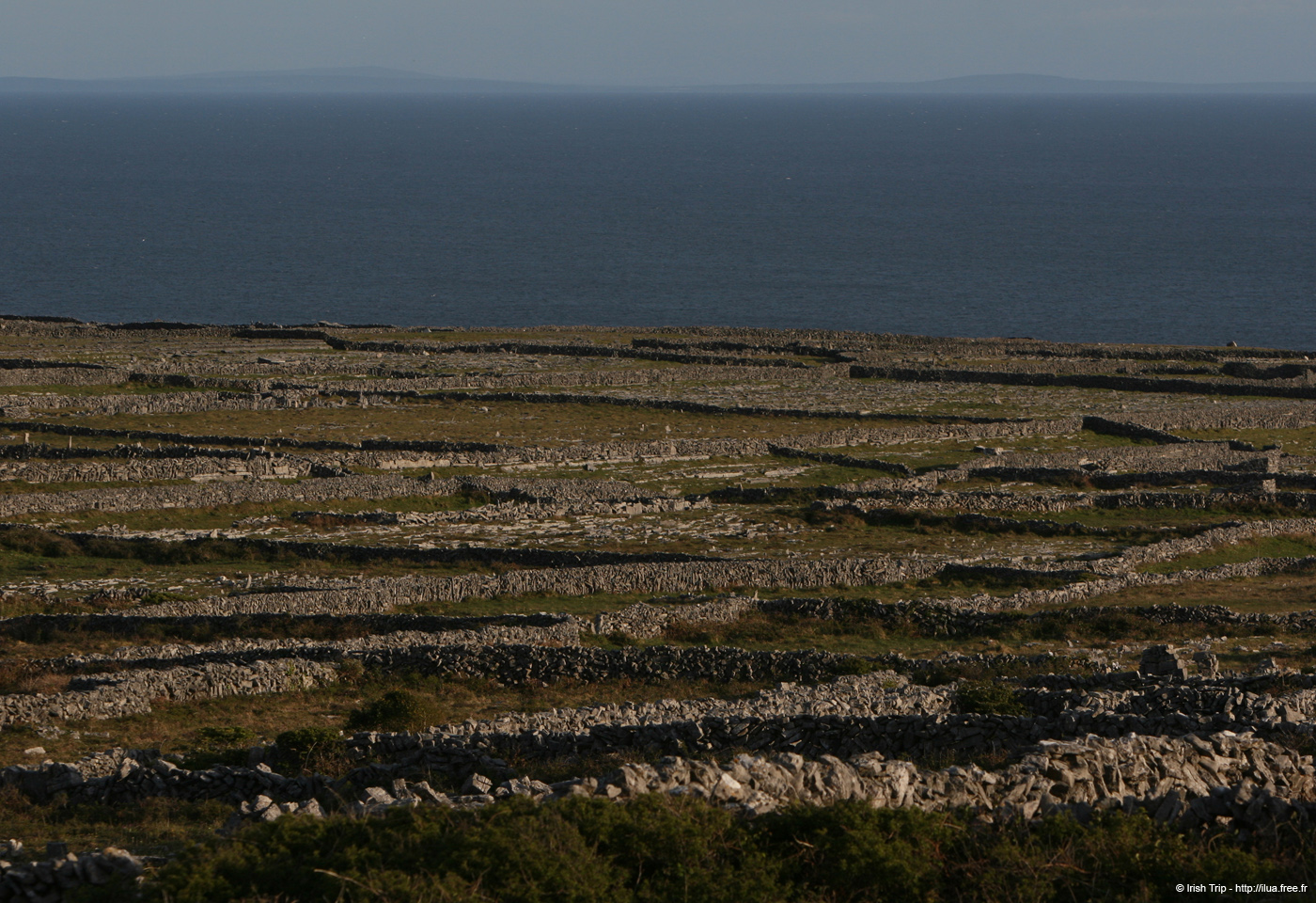 20120508_aranoghillfields03