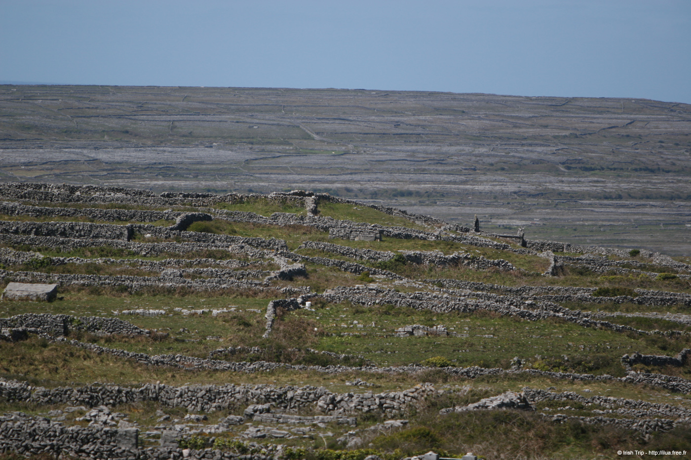 20120508_aranoghillfields05