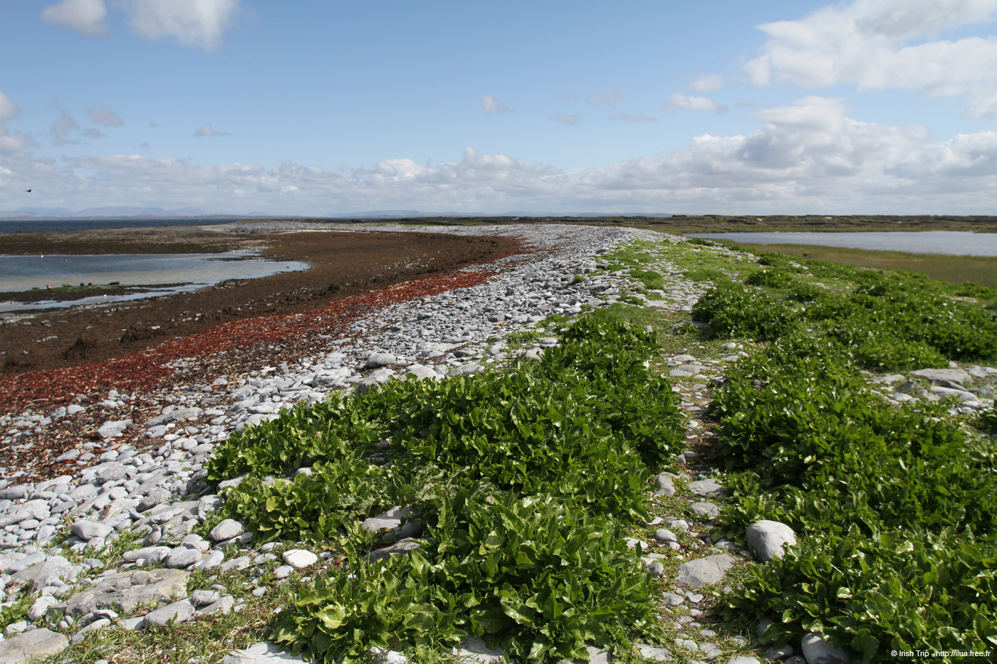 20120508_aranportchowrughisthmus