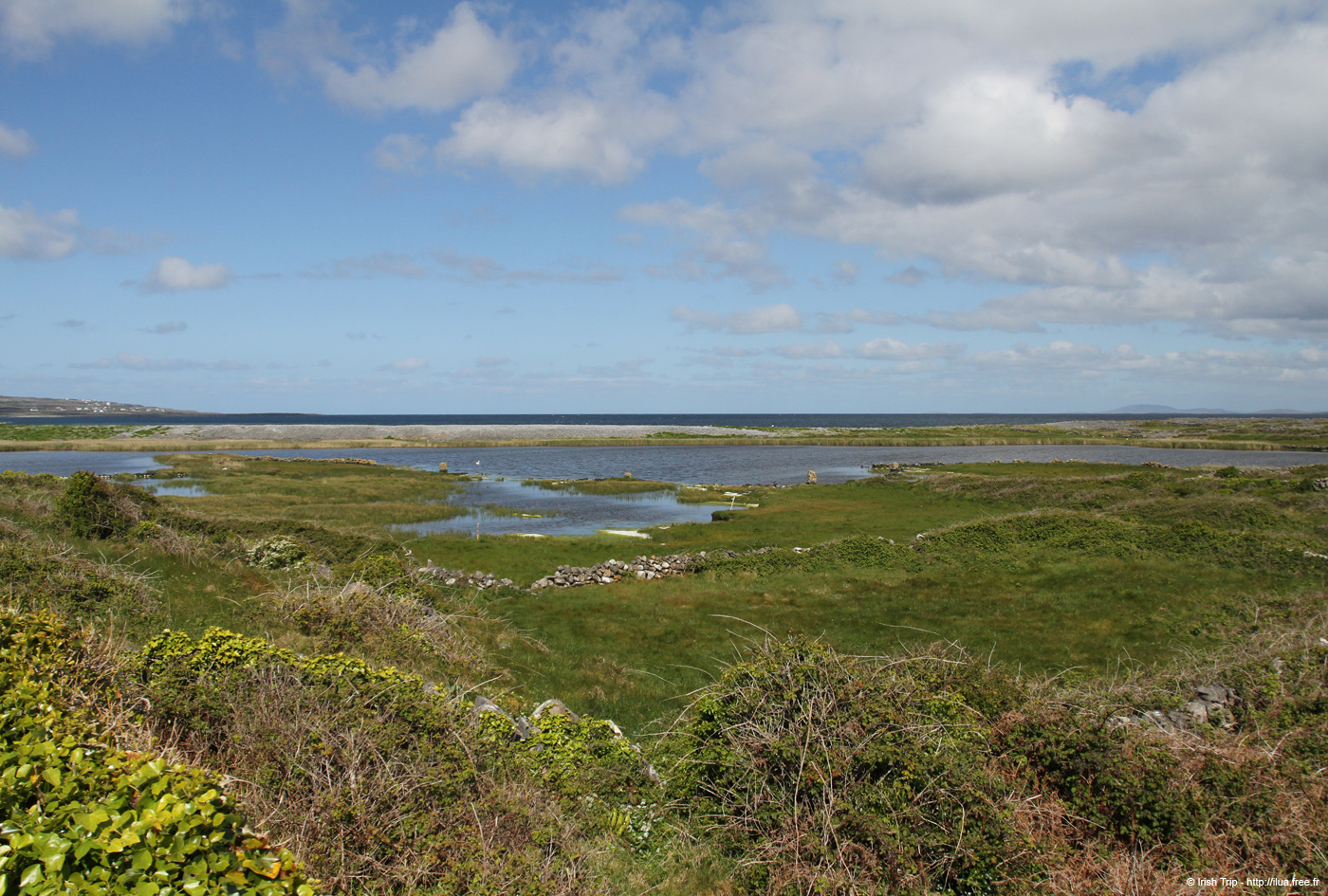20120508_aranportchowrughlough1