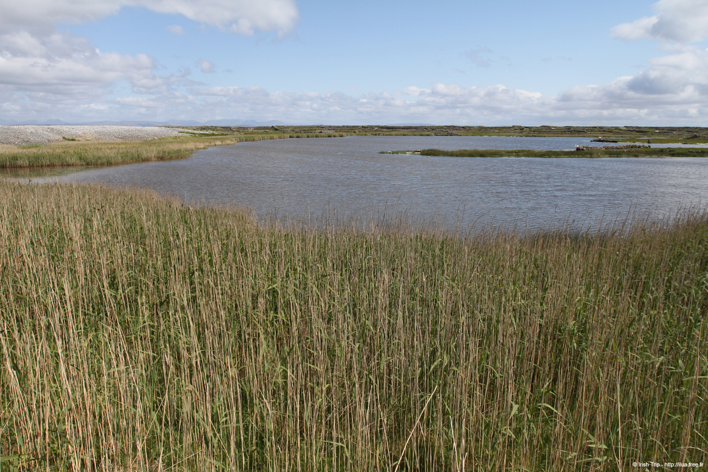 20120508_aranportchowrughlough3