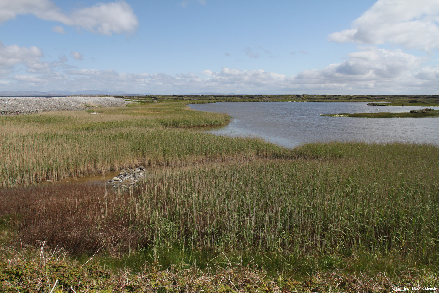 20120508_aranportchowrughlough4