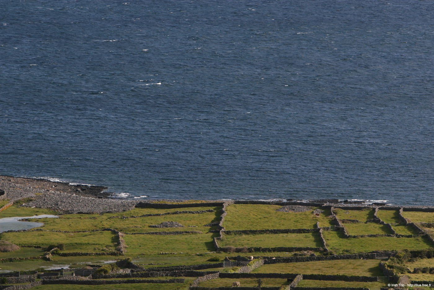 20120508_aranportoghill1
