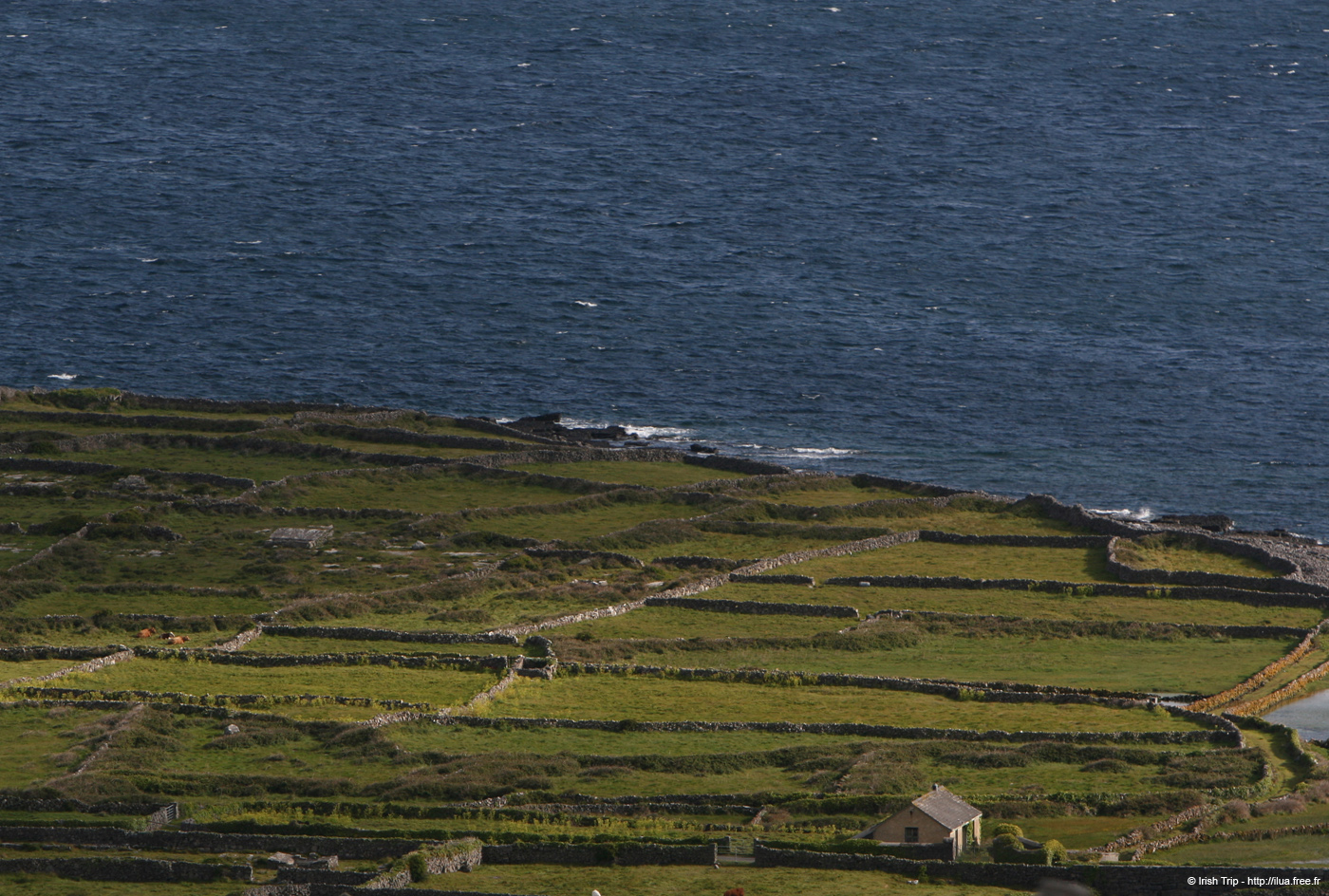 20120508_aranportoghill2